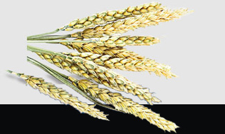 首页- 人生就是博中国官网入口