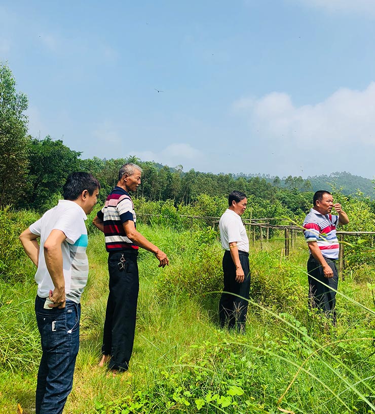 首页- 人生就是博中国官网入口