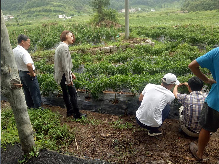 首页- 人生就是博中国官网入口