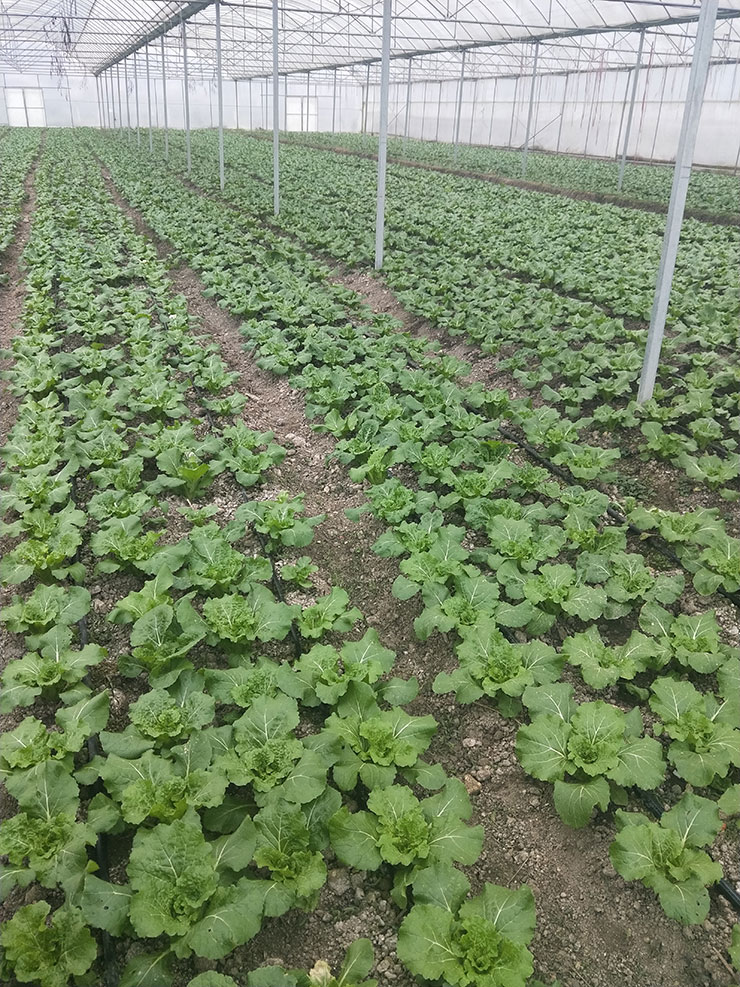 首页- 人生就是博中国官网入口