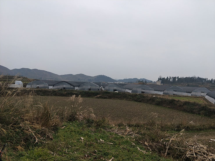 首页- 人生就是博中国官网入口