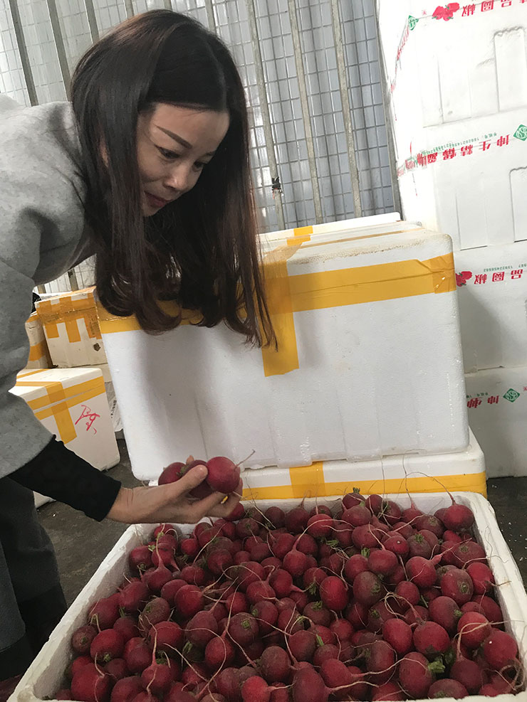 首页- 人生就是博中国官网入口