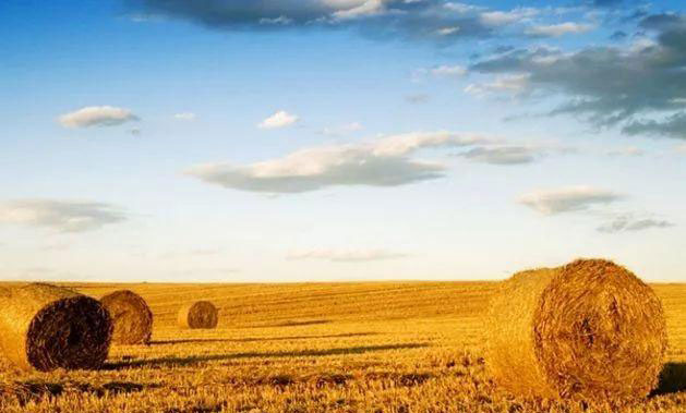 首页- 人生就是博中国官网入口