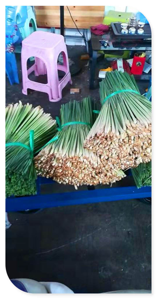 首页- 人生就是博中国官网入口