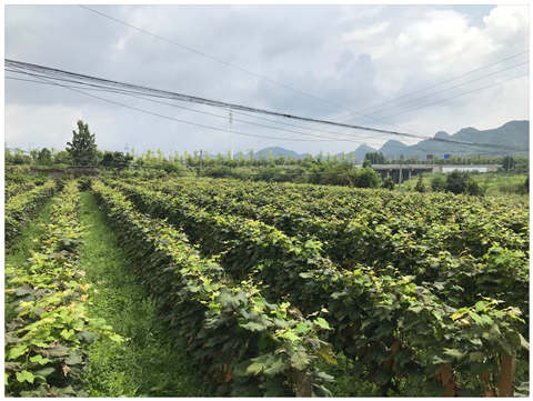 首页- 人生就是博中国官网入口