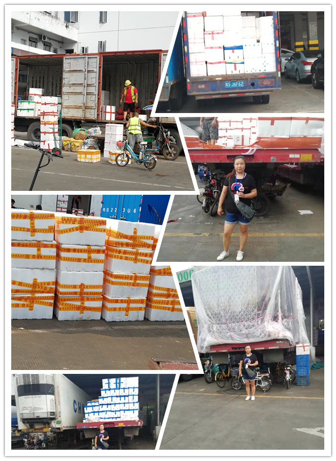 首页- 人生就是博中国官网入口