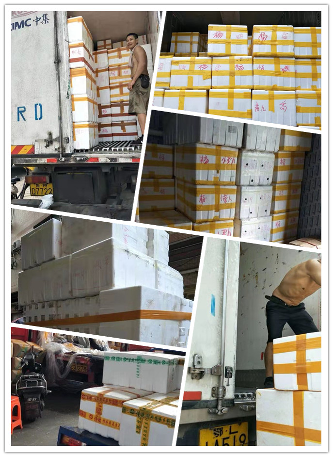 首页- 人生就是博中国官网入口