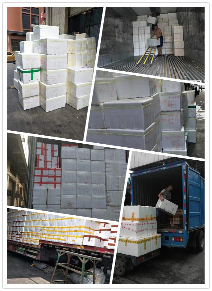 首页- 人生就是博中国官网入口