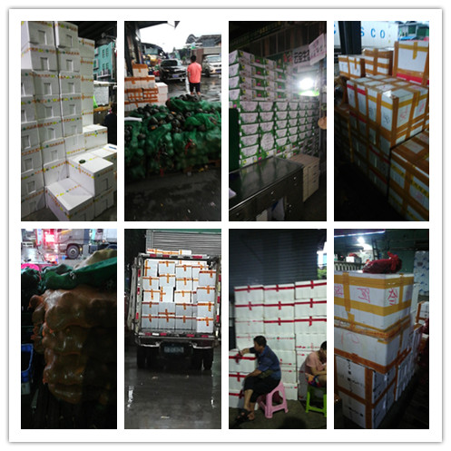 首页- 人生就是博中国官网入口