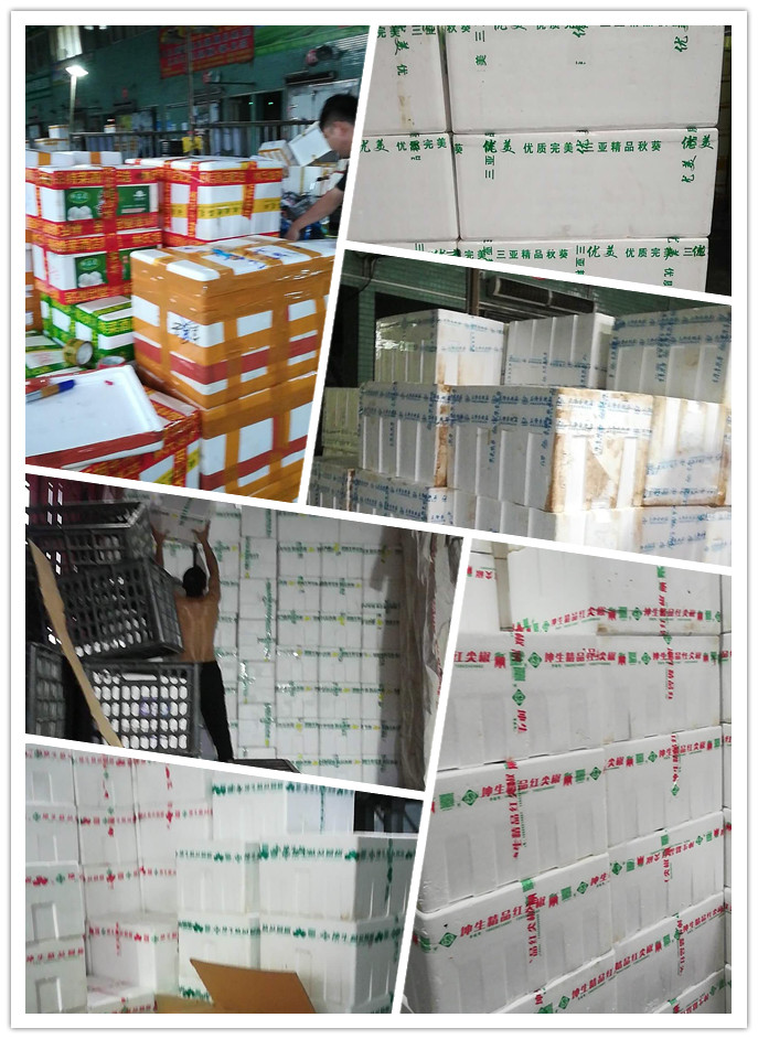 首页- 人生就是博中国官网入口