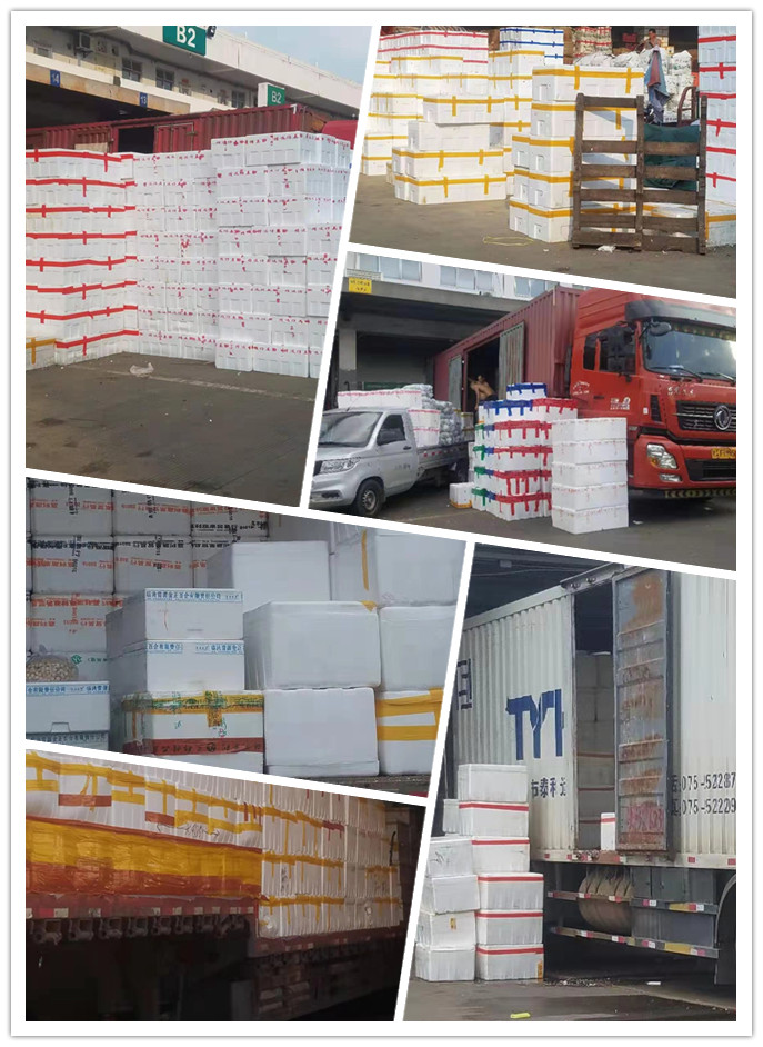 首页- 人生就是博中国官网入口