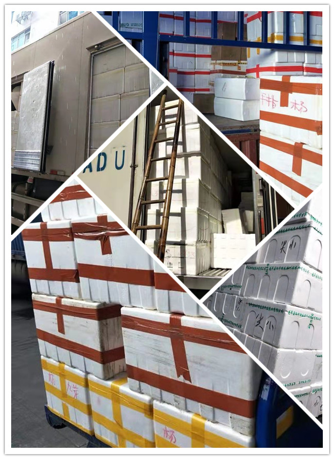 首页- 人生就是博中国官网入口