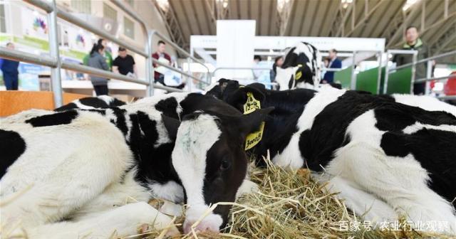 首页- 人生就是博中国官网入口