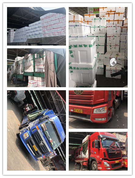 首页- 人生就是博中国官网入口