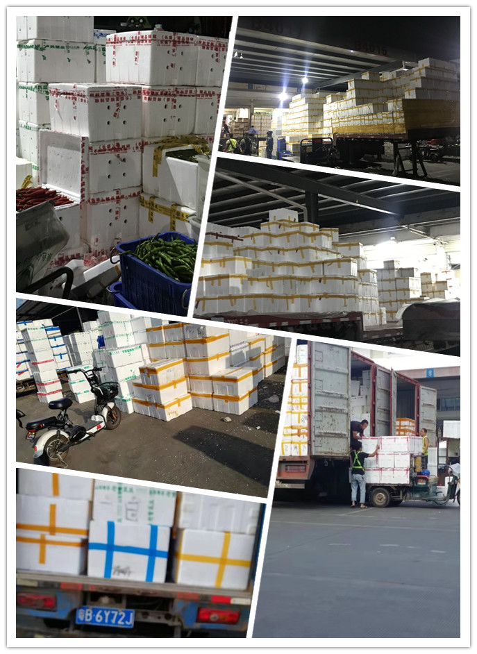 首页- 人生就是博中国官网入口