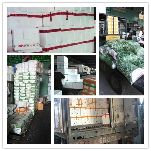 首页- 人生就是博中国官网入口