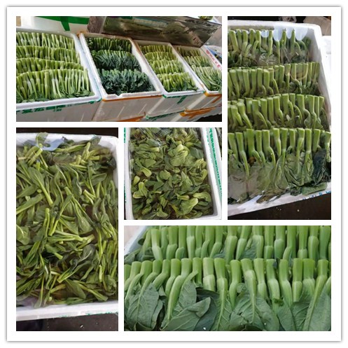 首页- 人生就是博中国官网入口