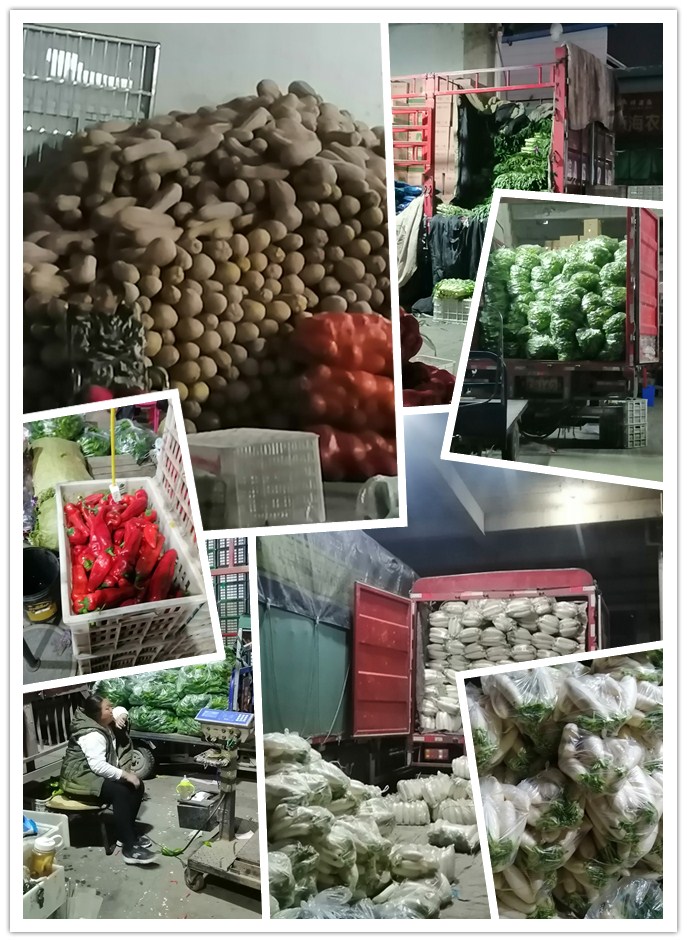 首页- 人生就是博中国官网入口