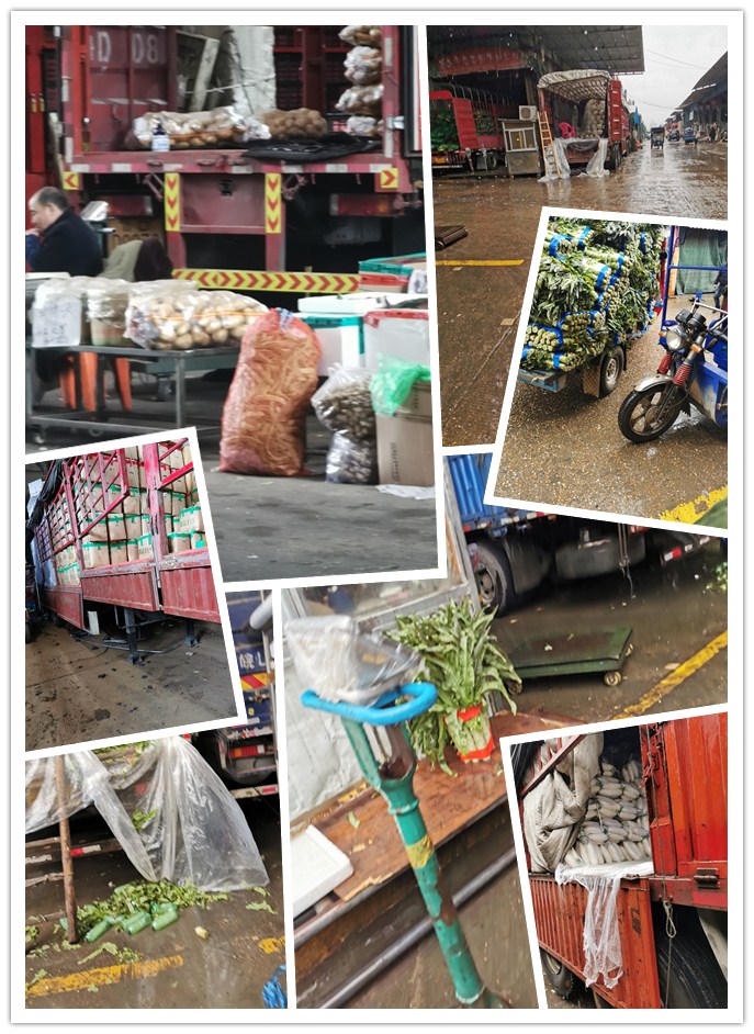 首页- 人生就是博中国官网入口