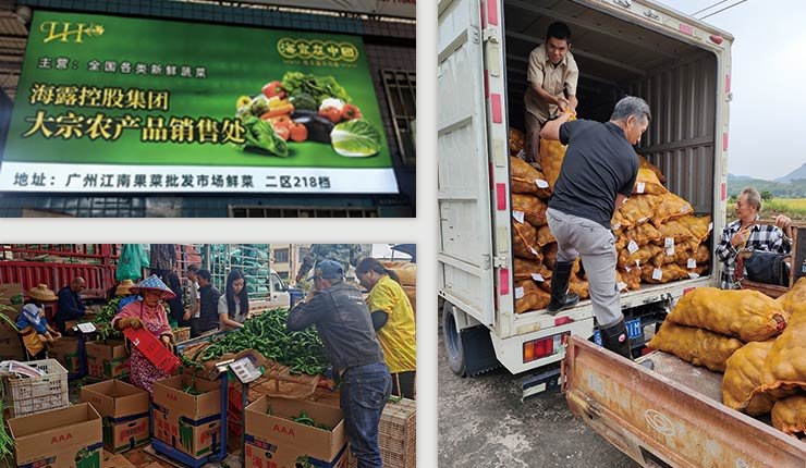 首页- 人生就是博中国官网入口